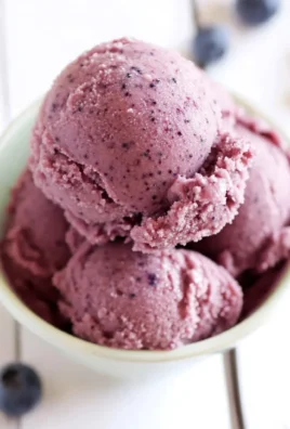 Blueberry Sherbet